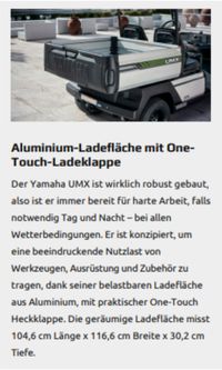 Yamaha UMX Ladefl&auml;che